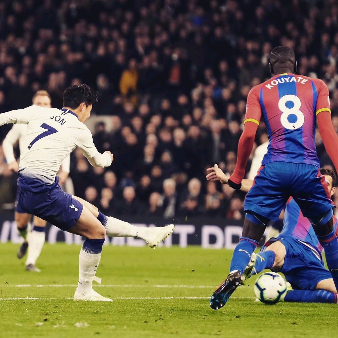 学校聘请了 学校聘请了